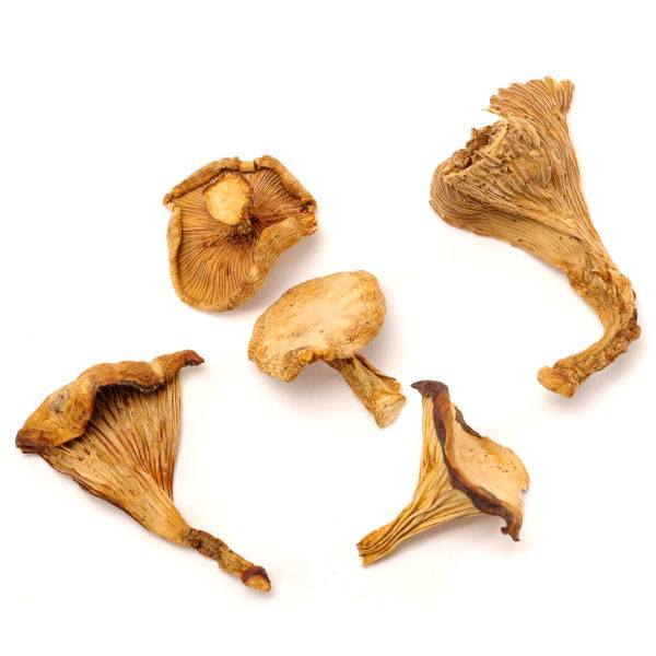 Dried Chanterelles - Caviar Lover - Dried Chanterelles