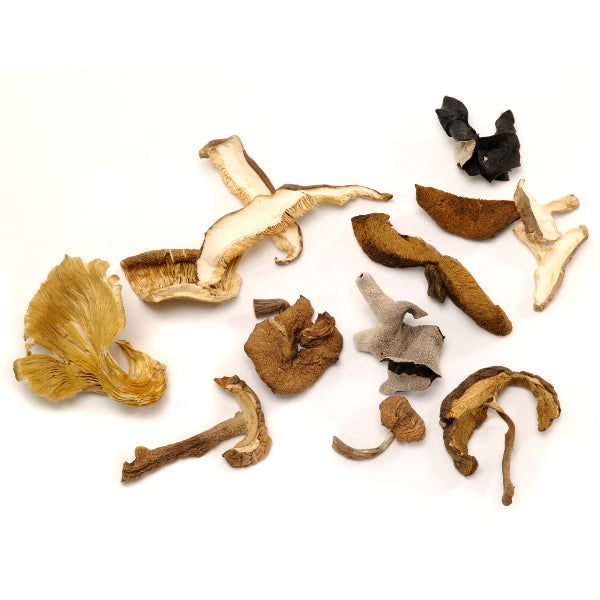 Dried Forest Mix Mushrooms - Caviar Lover - Dried Forest Mix Mushrooms