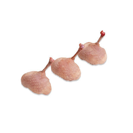 Quail Spanish, Lollipop Legs- 20-Piece Pack - Caviar Lover - Quail Spanish, Lollipop Legs- 20-Piece Pack